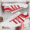 Biarritz Olympique 2023 stan smith skate shoes
