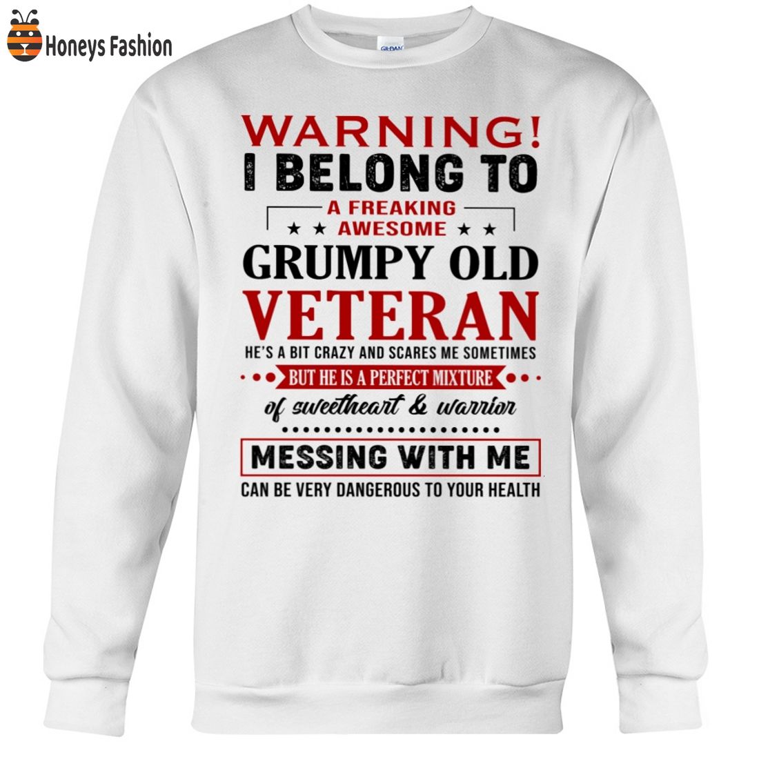 BEST SELLER Warning I Belong To Grumpy Old Veteran 2D Hoodie Tshirt